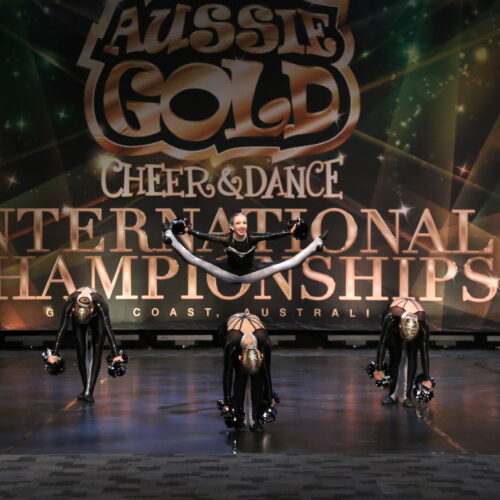Pan Pacific Cup International Championships